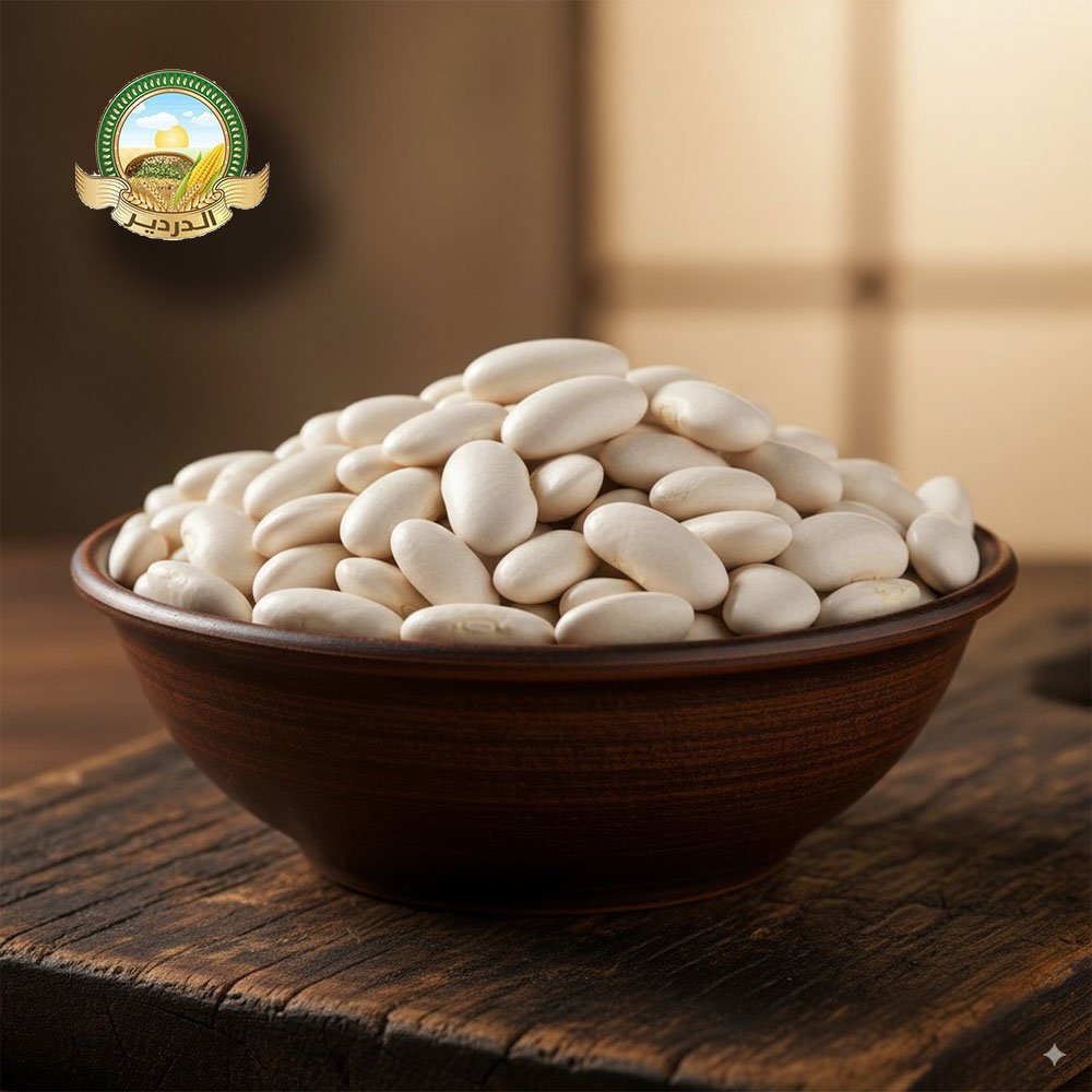 فاصولياء-(White-Beans) by httpsimprint-eg.comexhibition-stand